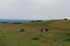 South Downs Way