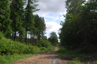 1066 walk