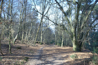 The Greensand Way