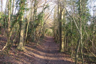 North Downs Way