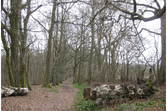 The Serpent Trail